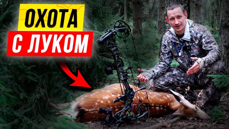 Супер ОХОТА с блочным луком на ОЛЕНЯ с тристенда Лук Mathews VXR