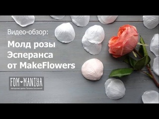 Обзор молда “Роза Эсперанса лепесток“ и как работать на нем с фоамираном без заломов