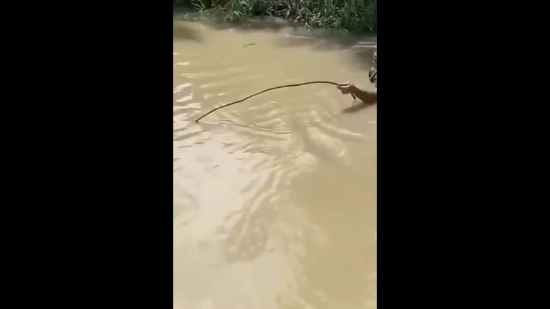 ВОТ ОНО