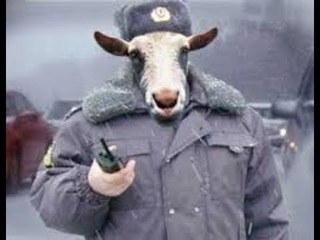 Ахеревшая полиция Одессы.
