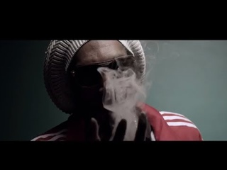 Снуп Догг под новым псевдонимом Снуп Лайон выложил видеоклип на трек «Smoke The Weed»