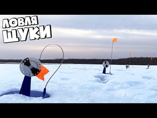 ЭТО ЗИМОВАЛЬНАЯ ЩУЧЬЯ ЗАВОДЬ! ЖЕРЛИЦЫ СРАБАТЫВАЮТ КАК ИЗ ПУЛЕМЕТА!