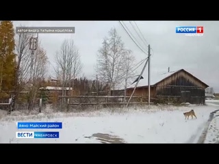 Первый снег выпал в Хабаровском крае