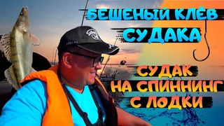БЕШЕНЫЙ клев СУДАКА. РЫБАЛКА на СПИННИНГ. Ловля щуки на спиннинг. Рыбалка на воблеры с лодки.