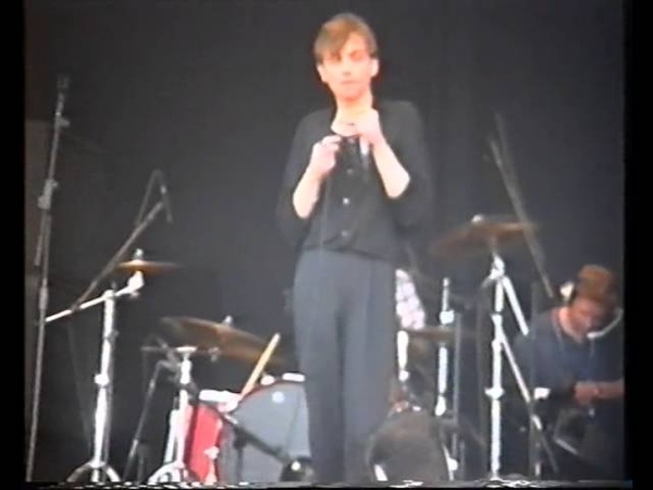the fall live at the phoenix festival