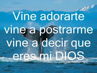 Marcela Gandara - Vine a adorarte