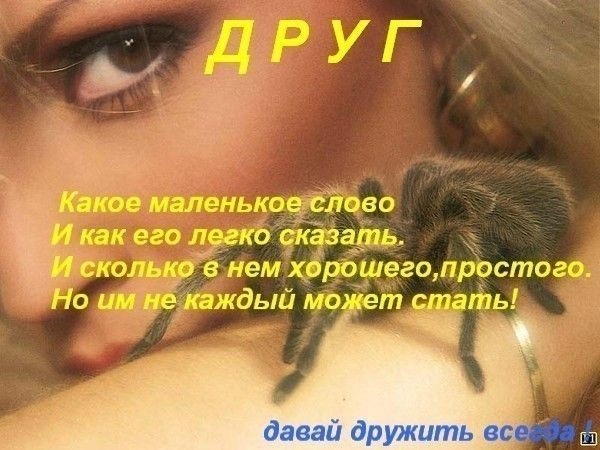 №18, Танечка Кузьма, Хуст №18, Танечка Кузьма, Хуст