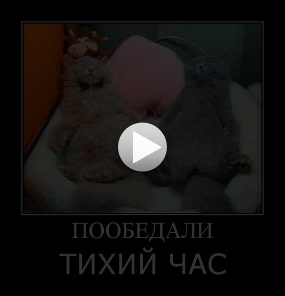 Светлана Струк | Краматорск