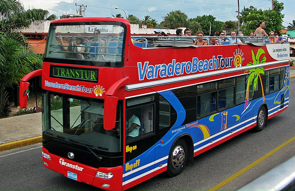 Полина Шамаева | Москва