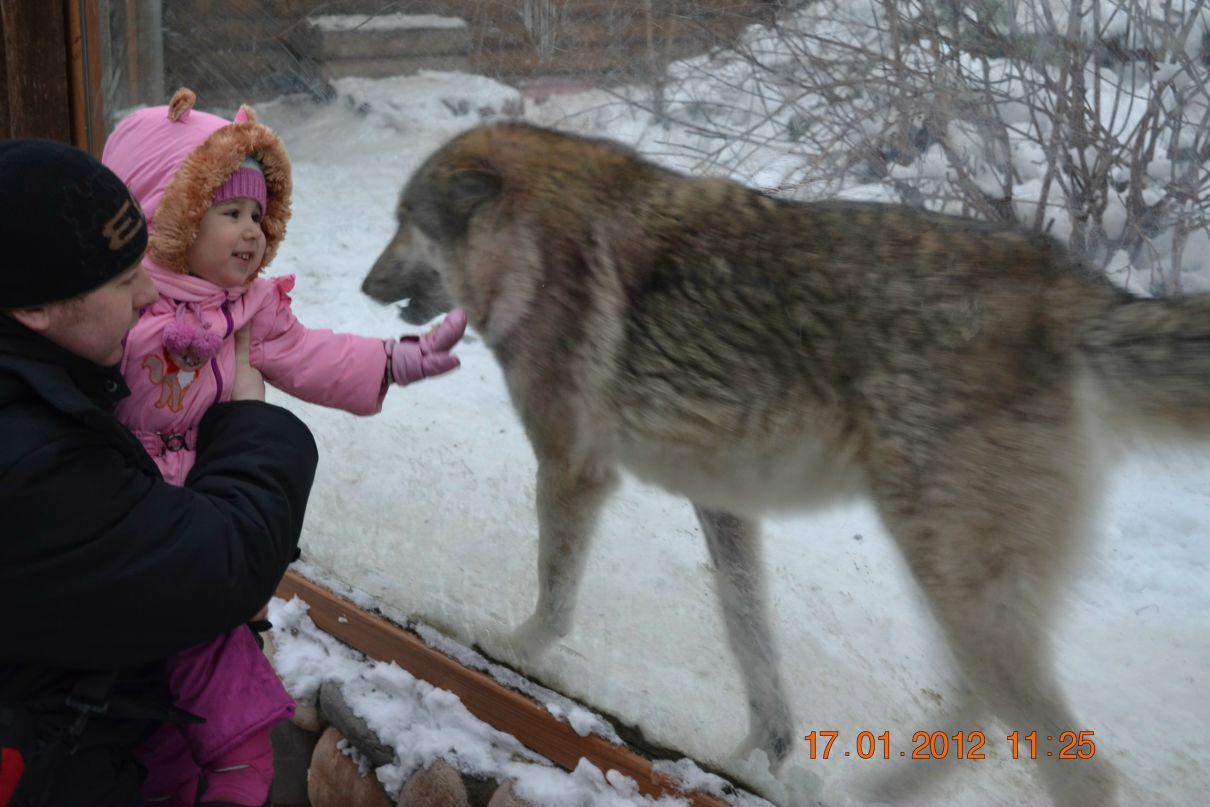 Сергей Юдин | Санкт-Петербург