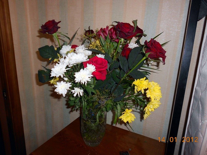 Нина Шалимова | Москва