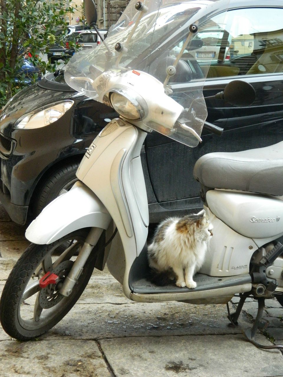 Кристина Кайзер | Екатеринбург