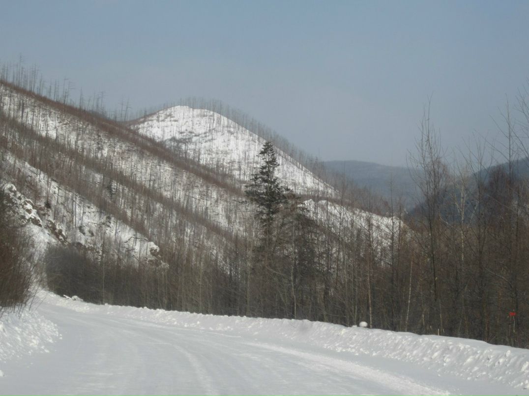 Татьяна Липихина | Тюмень