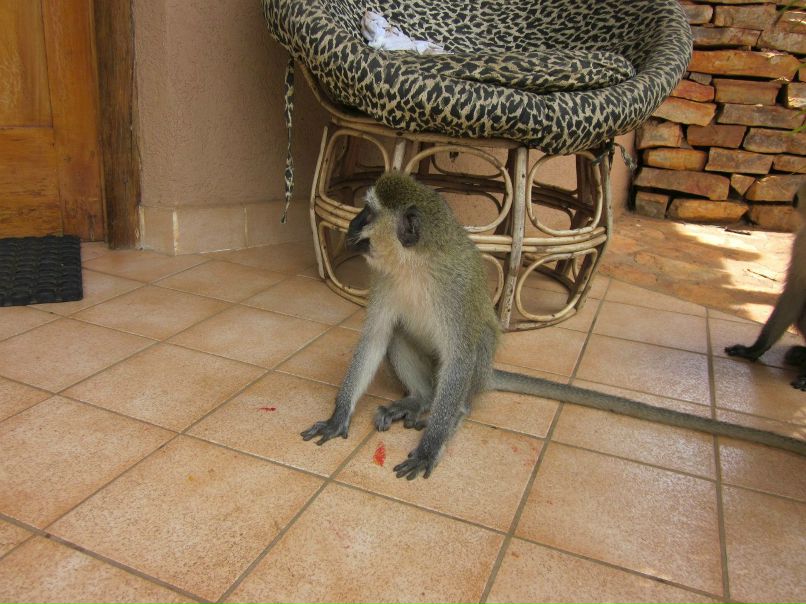 Andre Pablo | Санкт-Петербург