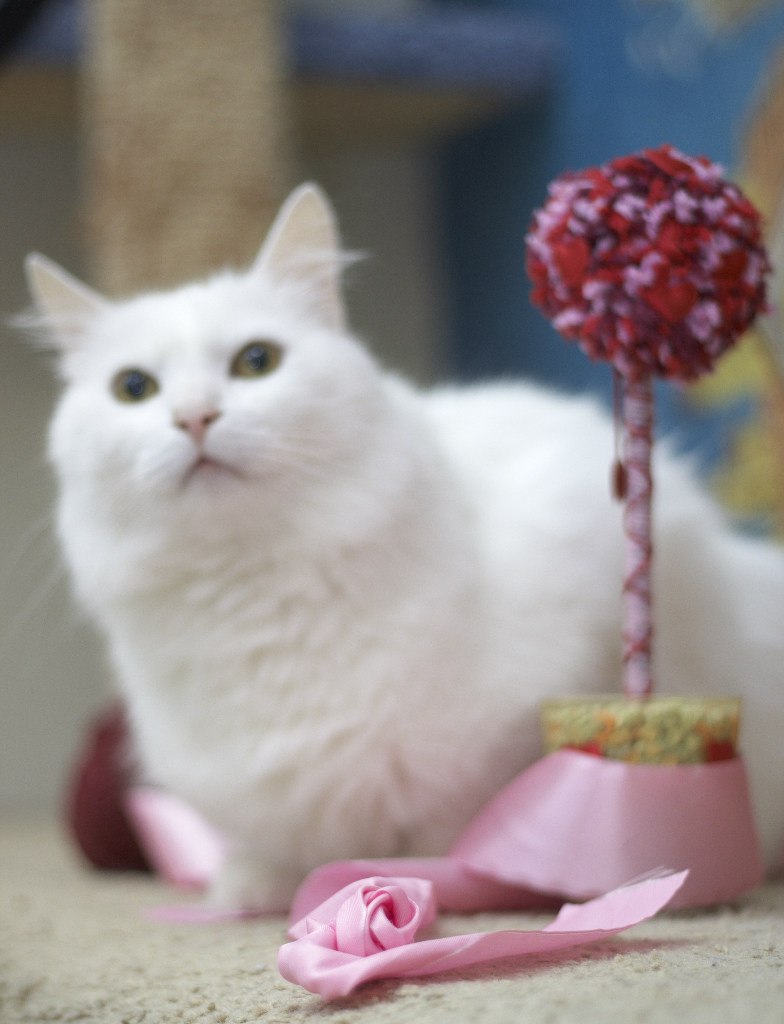 Катерина Uma rock♥n♥heart | Санкт-Петербург