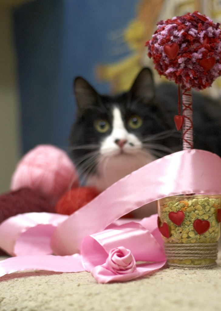 Катерина Uma rock♥n♥heart | Санкт-Петербург