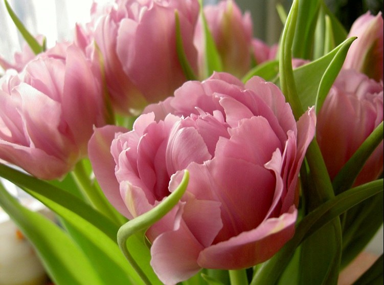 Марина Колокольцева | 