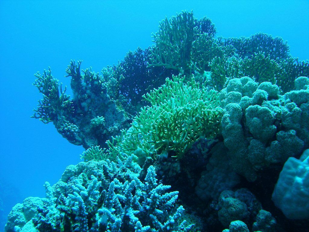 Леонид Сандалов | Санкт-Петербург