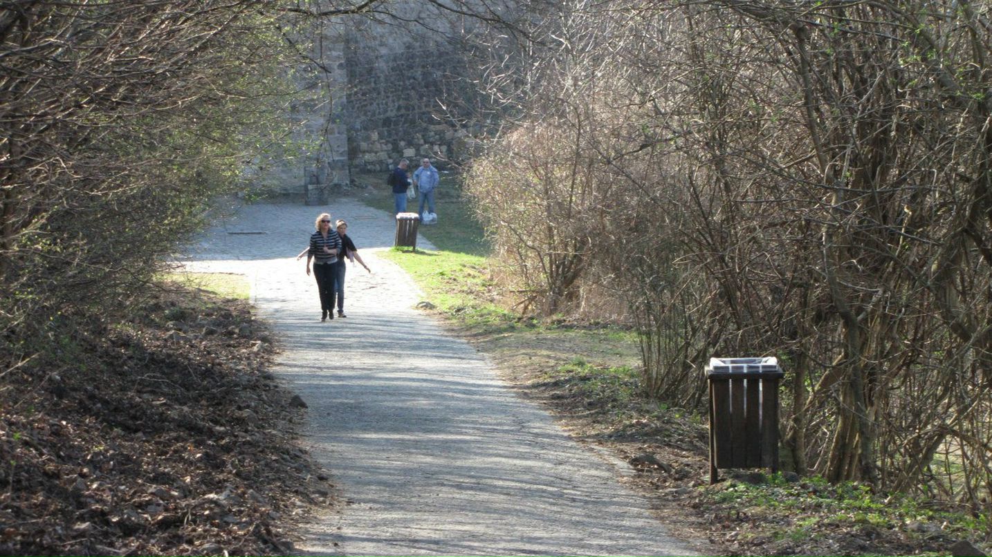 Дмитрий Новоселов | Санкт-Петербург