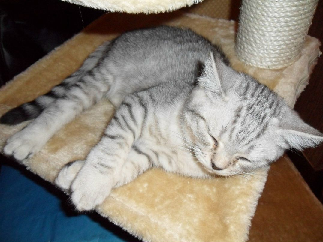 Елена Кострюкова | Москва