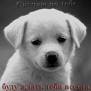 Фотография Евгения Митягина