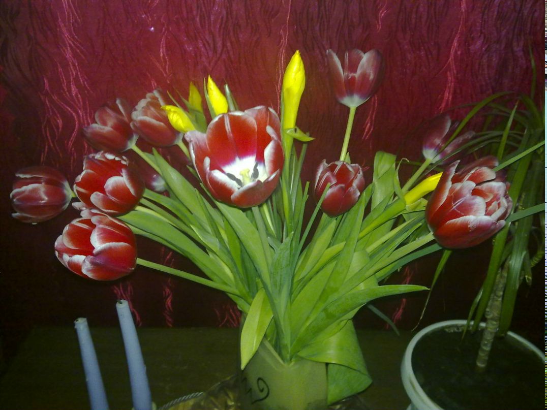 Людмила Борзенкова | Харьков