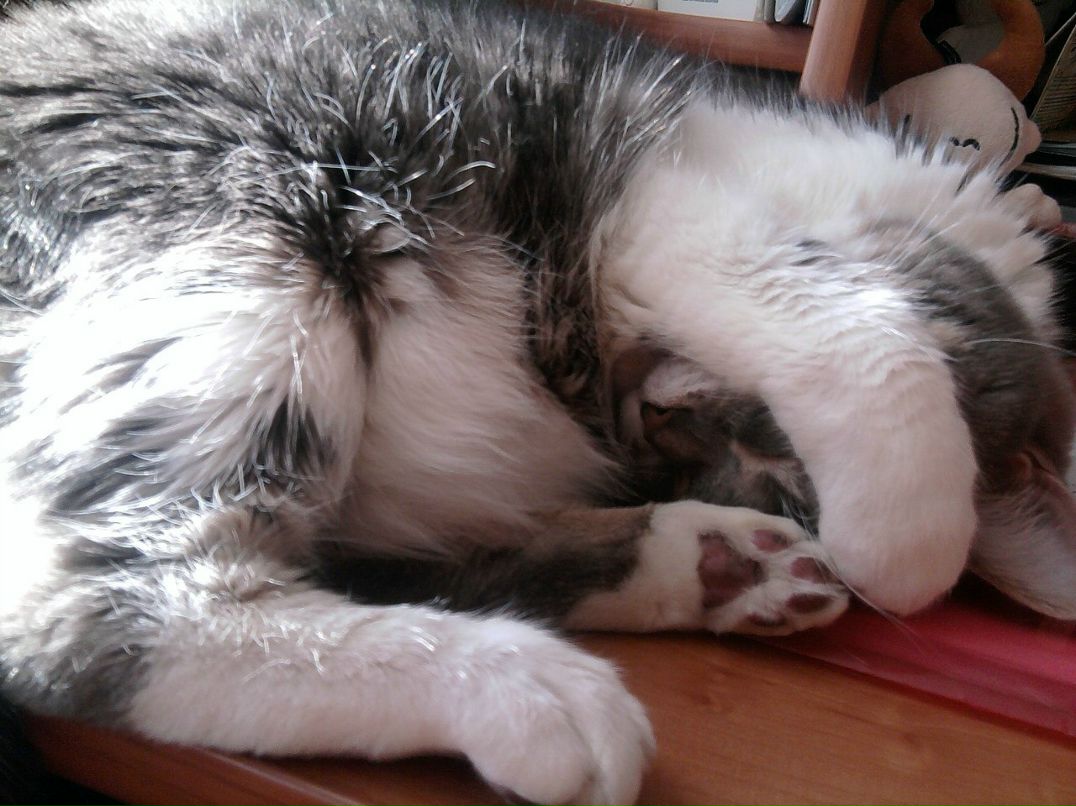 Светлана Кузьмина | Москва