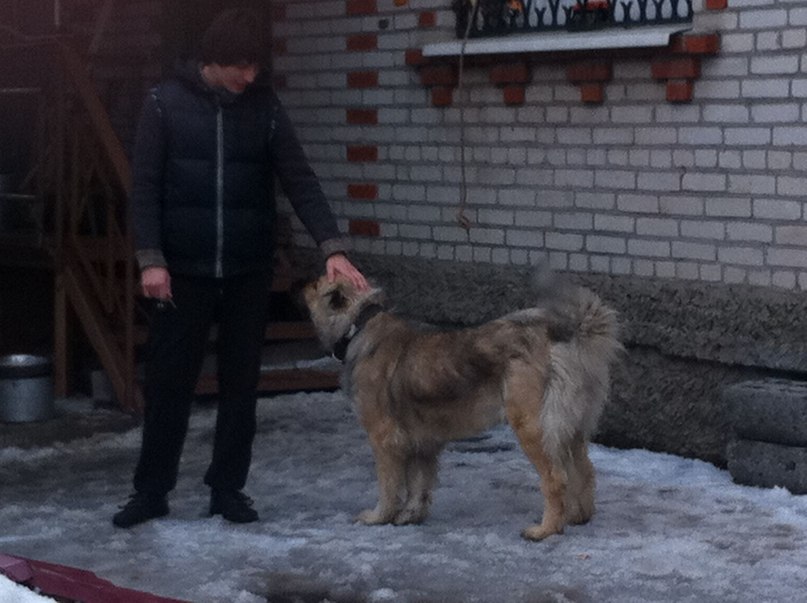 Борис Щербина | Москва