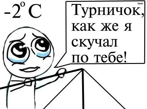 Станислав Тараненко | Кропивницкий / Кировоград