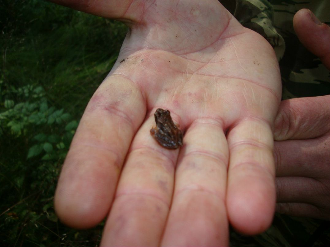 Сергей Крикунов | Петрозаводск