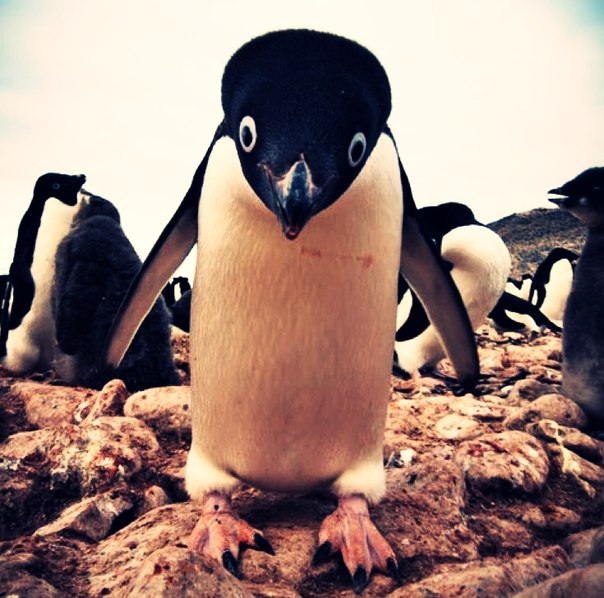 Dmitry Sysoev | Санкт-Петербург