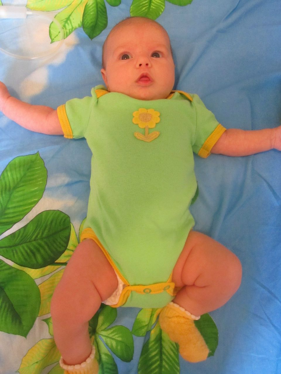 Алексей Абырвалгов | Тула