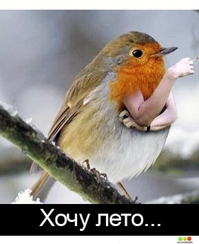 Марян Сигінь | Озургети
