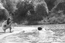 Фотография Turkeveych Olja