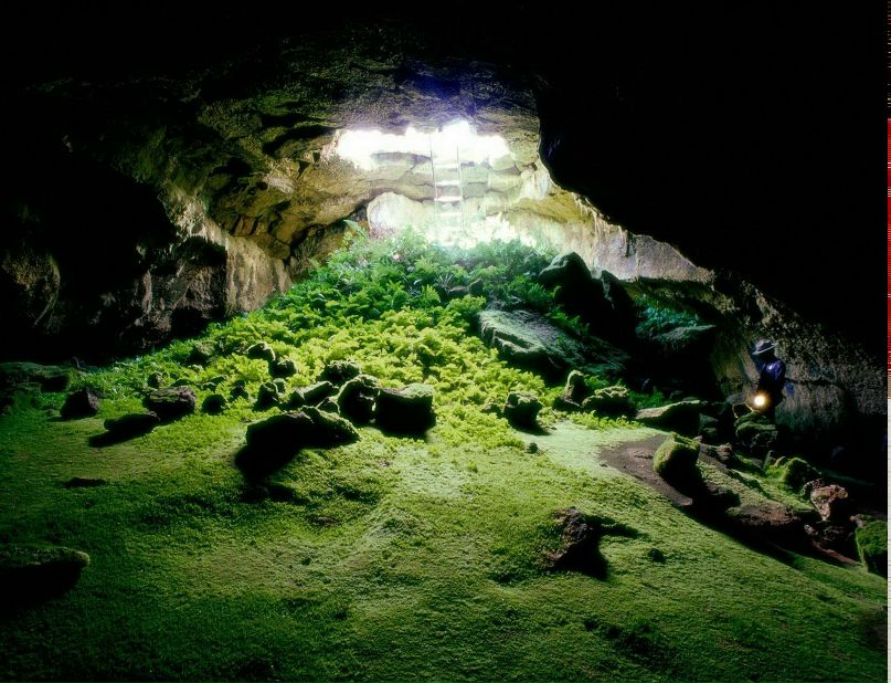 Вячеслав Ненашев •°Private°• | Новосибирск