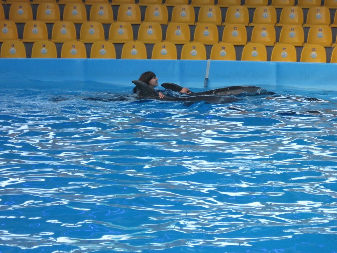 Ирина Литвин | Киев