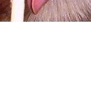 №143, Мария Косенко, Кривой Рог №143, Мария Косенко, Кривой Рог