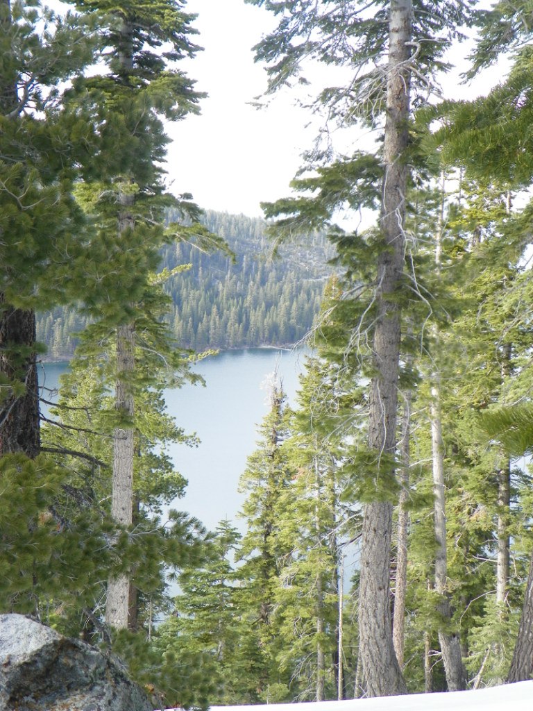 Яна Батрак | Los Angeles