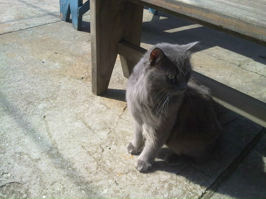 Максим Дешук | Одесса