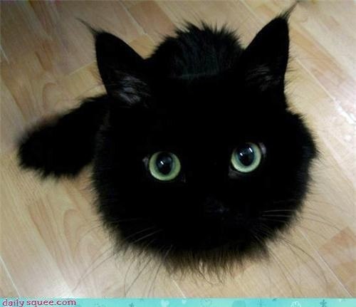 Катя Саввина Faith | Запорожье