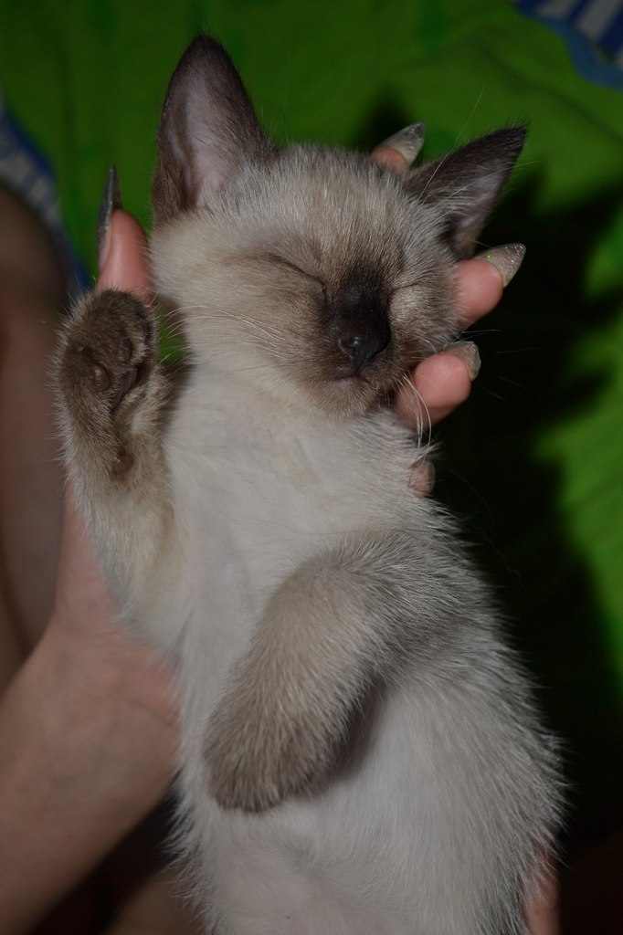 Наталья Речкина | Красноярск