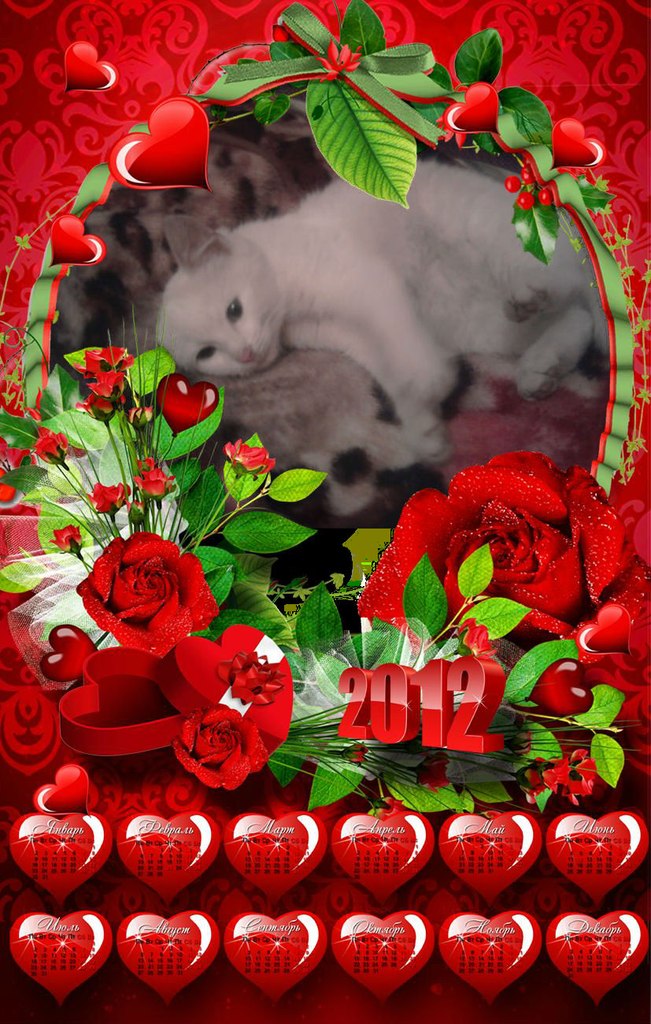 Алёна Киселёва Сергеевна | Москва