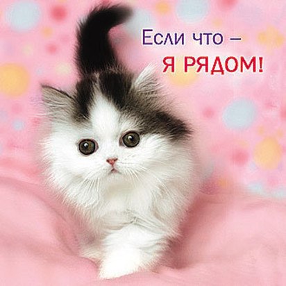 №20, Машунька Радзиевська №20, Машунька Радзиевська