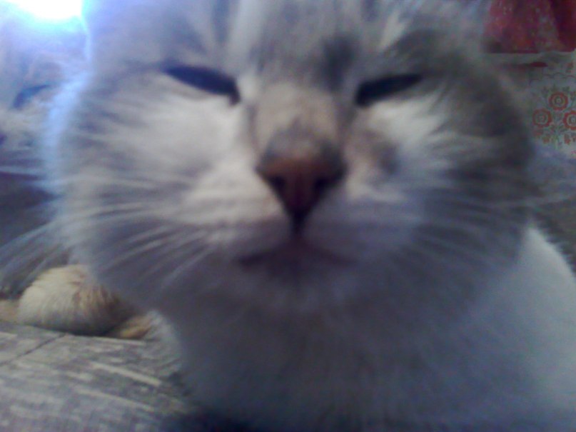 Алексей Яковлев | Москва