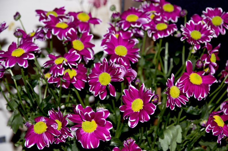 Аня Иванова | Москва