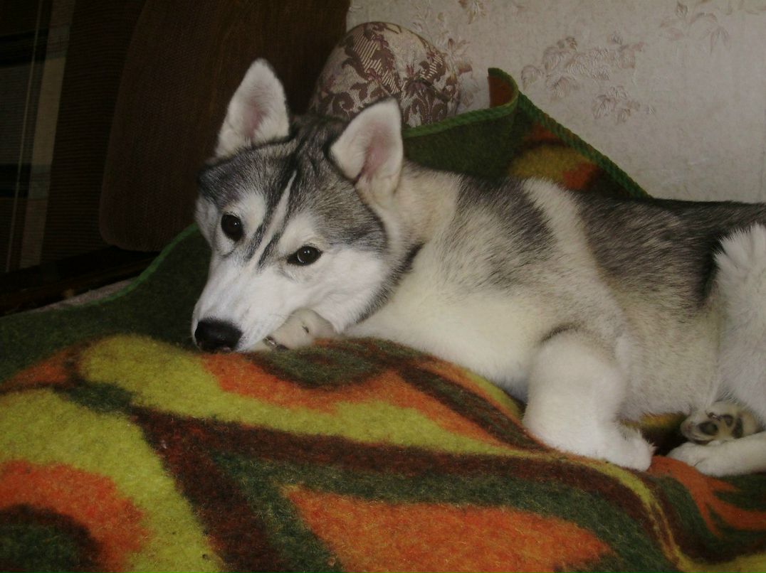 Катерина Платонова | Larnaca