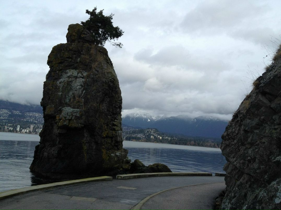 Светлана Попова | Москва