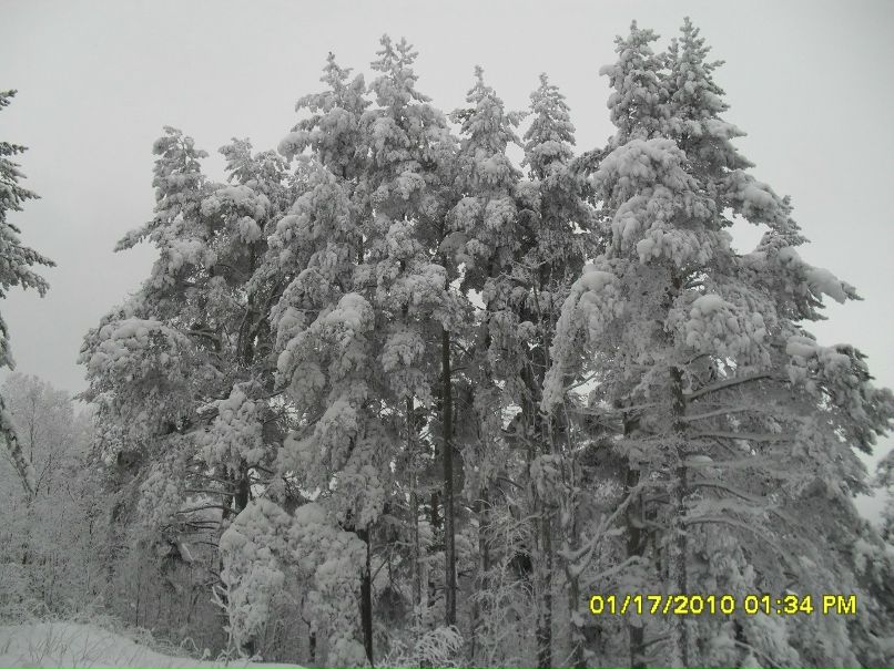 Андрей Нархов | Санкт-Петербург