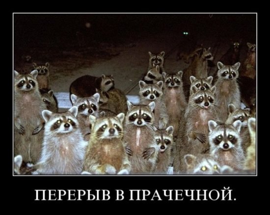 Яна Ариева L_eVi_Я | London