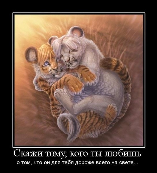 №198, Beybala Tahirov, Баку, Азербайджан №198, Beybala Tahirov, Баку, Азербайджан